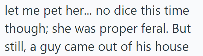 let me pet her... no dice this time though; she was proper feral. But still, a guy came out of his house