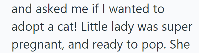 and asked me if I wanted to adopt a cat! Little lady was super pregnant, and ready to pop. She