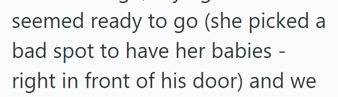 seemed ready to go (she picked a bad spot to have her babies - right in front of his door) and we