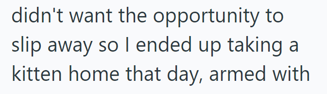 didn't want the opportunity to slip away so I ended up taking a kitten home that day, armed with