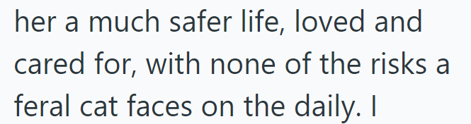 her a much safer life, loved and cared for, with none of the risks a feral cat faces on the daily. I