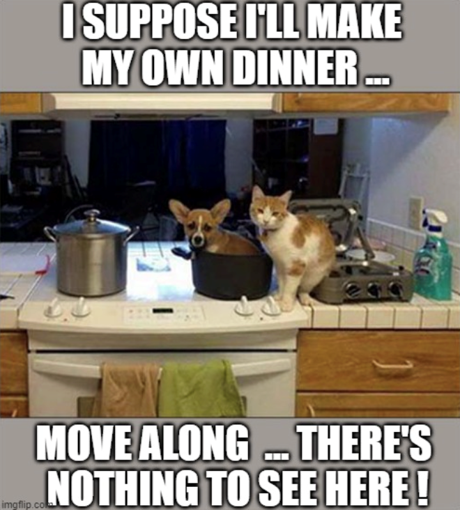 I SUPPOSE I'LL MAKE MY OWN DINNER... MOVE ALONG... THERE'S NOTHING TO SEE HERE! imgflip.com