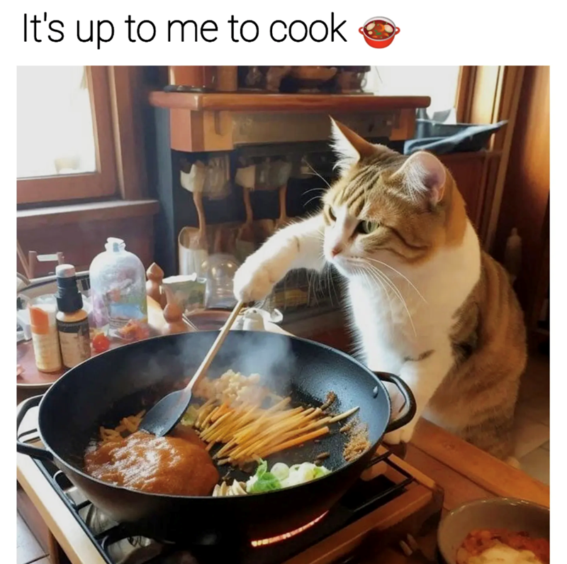 It's up to me to cook