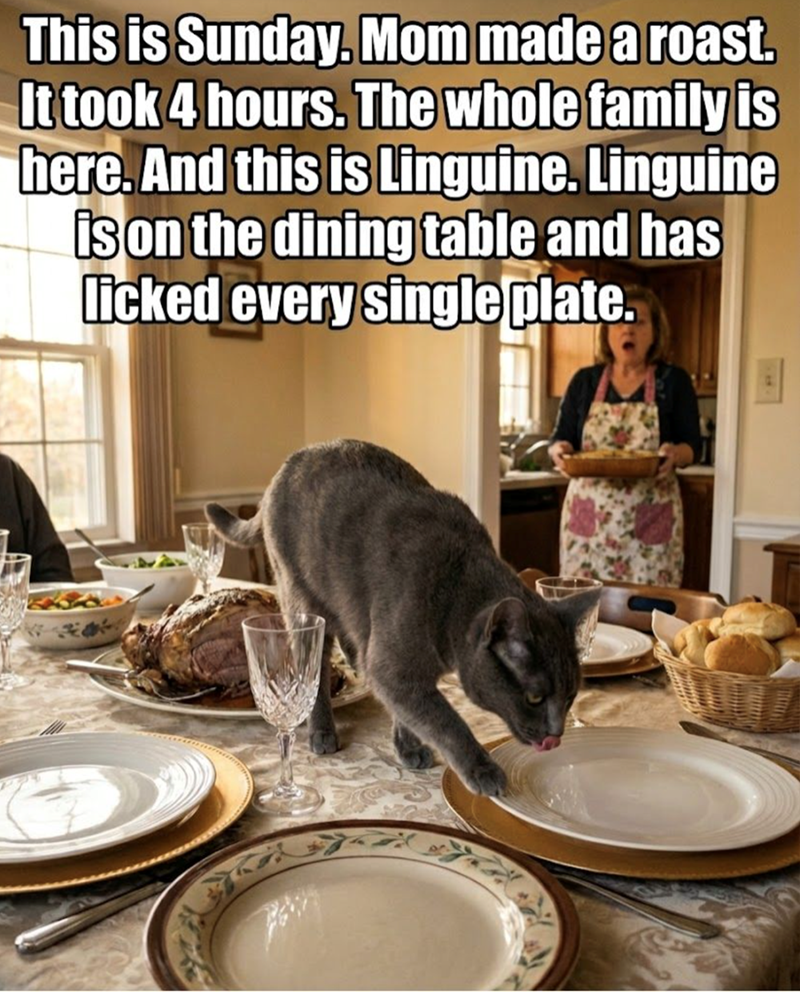 This is Sunday. Mom made a roast. It took 4 hours. The whole family is here. And this is Linguine. Linguine is on the dining table and has licked every single plate.