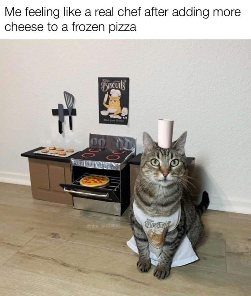 Me feeling like a real chef after adding more cheese to a frozen pizza. Killyp BISCUITS Made from Sr salch @the pizzacat Kittyp Discuk