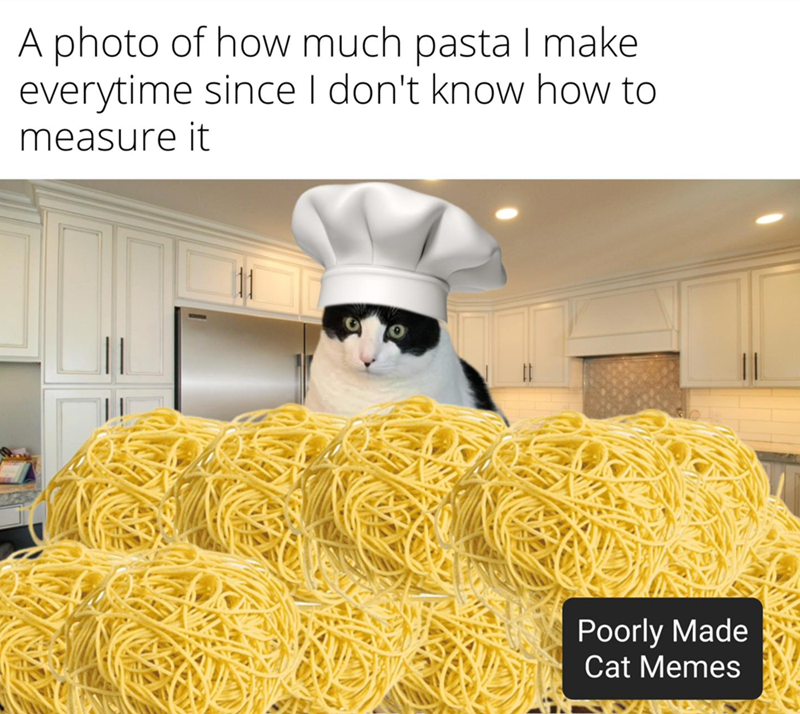 A photo of how much pasta I make everytime since I don't know how to measure it Poorly Made Cat Memes