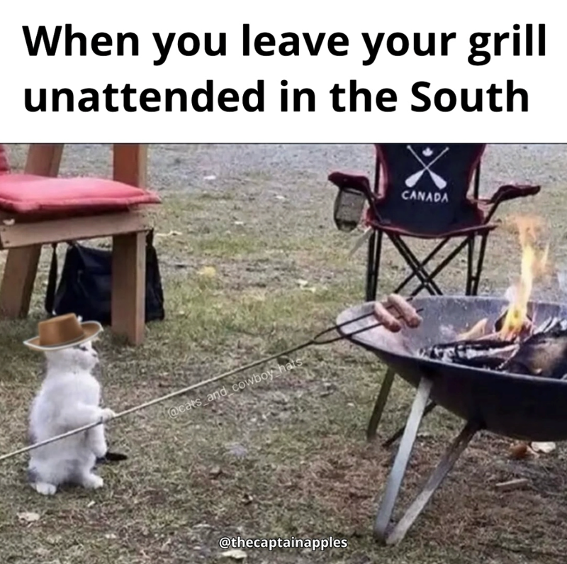 When you leave your grill unattended in the South @cats and cowboy hats @thecaptainapples CANADA