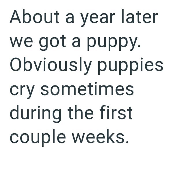 About a year later we got a puppy. Obviously puppies cry sometimes during the first couple weeks.