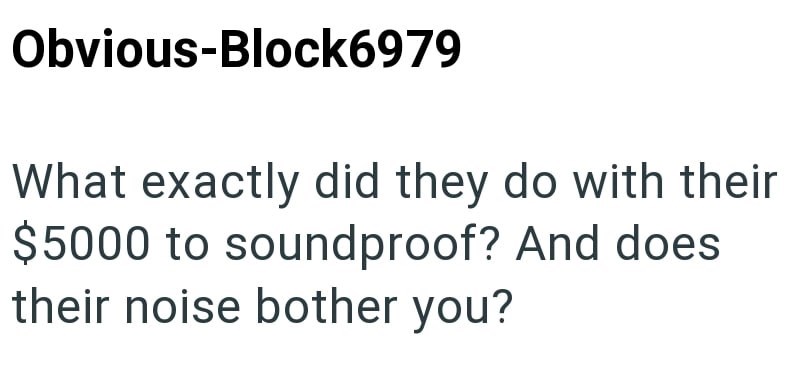 Obvious-Block6979 What exactly did they do with their $5000 to soundproof? And does their noise bother you?