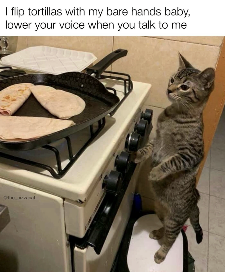 I flip tortillas with my bare hands baby, lower your voice when you talk to me @the_pizzacat