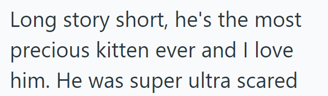 Long story short, he's the most precious kitten ever and I love him. He was super ultra scared