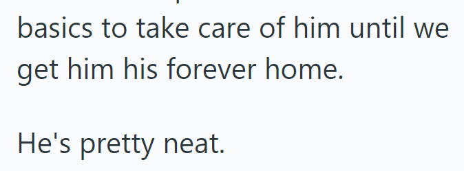 basics to take care of him until we get him his forever home. He's pretty neat.