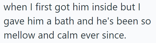 when I first got him inside but I gave him a bath and he's been so mellow and calm ever since.