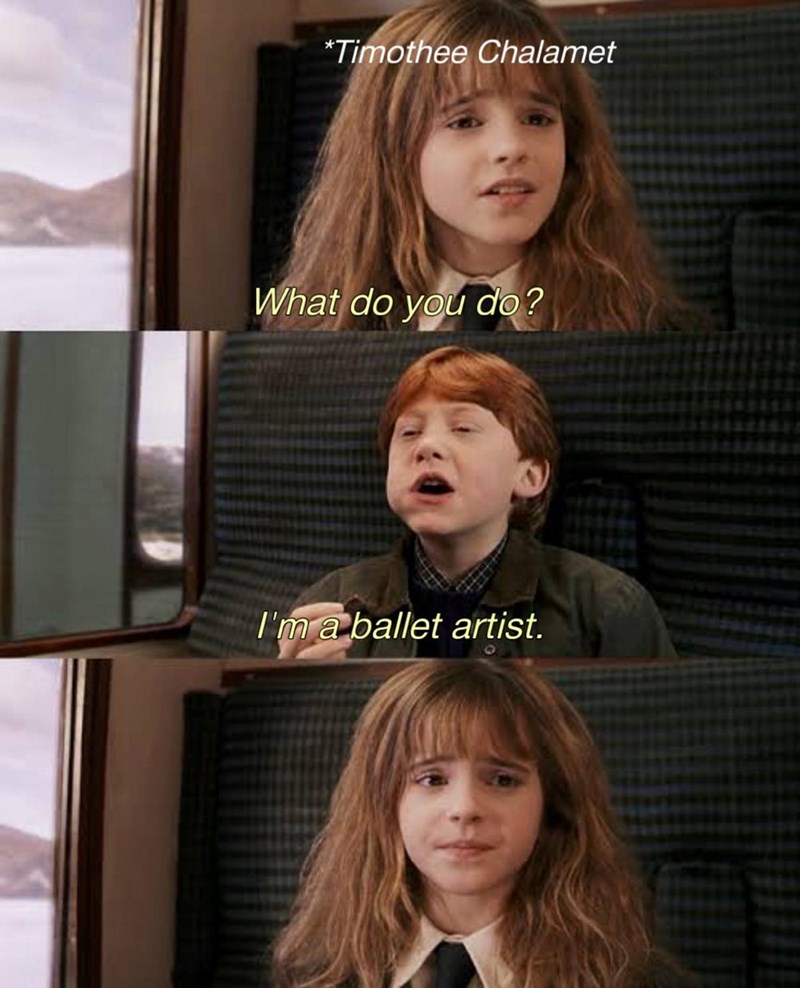 *Timothee Chalamet What do you do? I'm a ballet artist.
