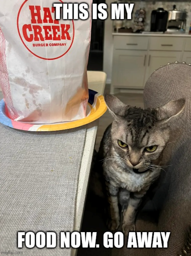 HATHIS IS MY CREEK BURGER COMPANY FOOD NOW. GO AWAY imgflip.com