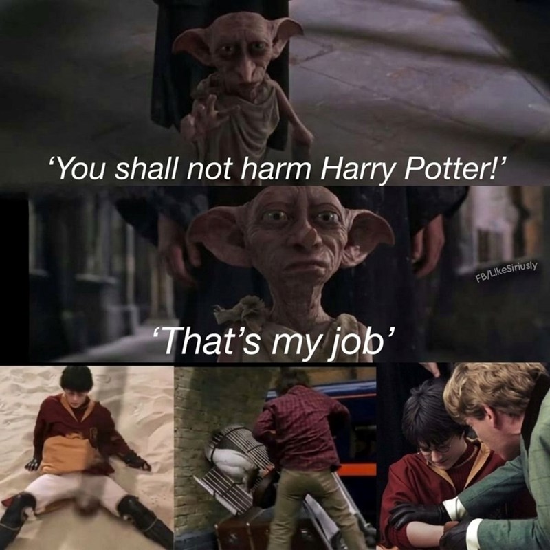 'You shall not harm Harry Potter!' 'That's my job' FB/LikeSiriusly