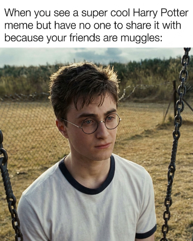 When you see a super cool Harry Potter meme but have no one to share it with because your friends are muggles: