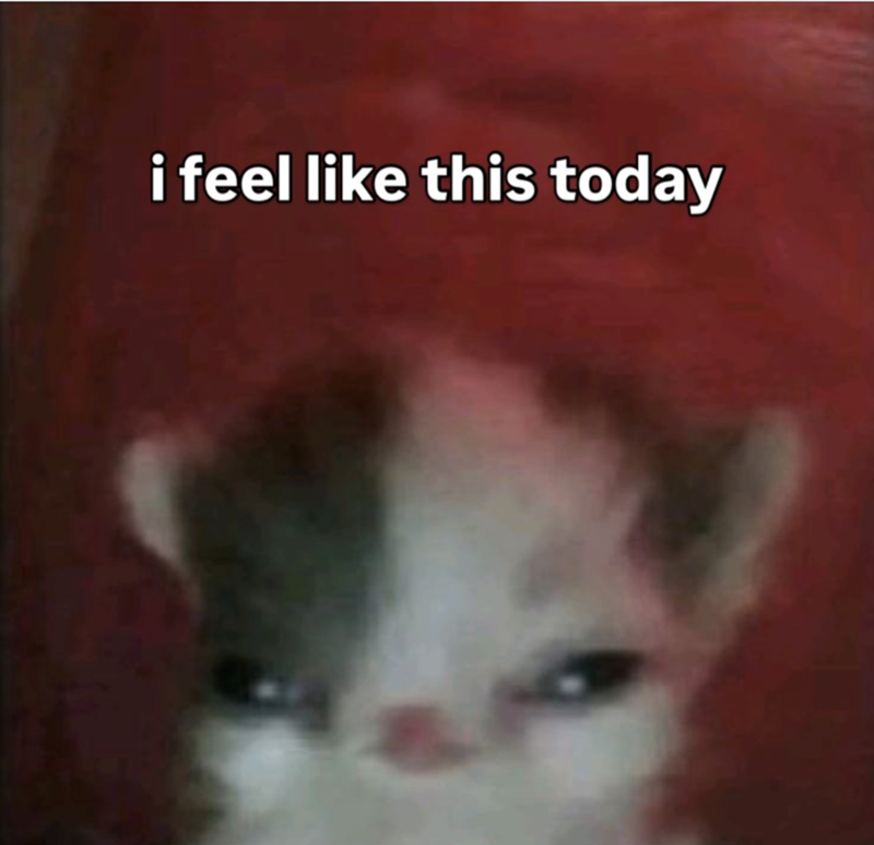 i feel like this today