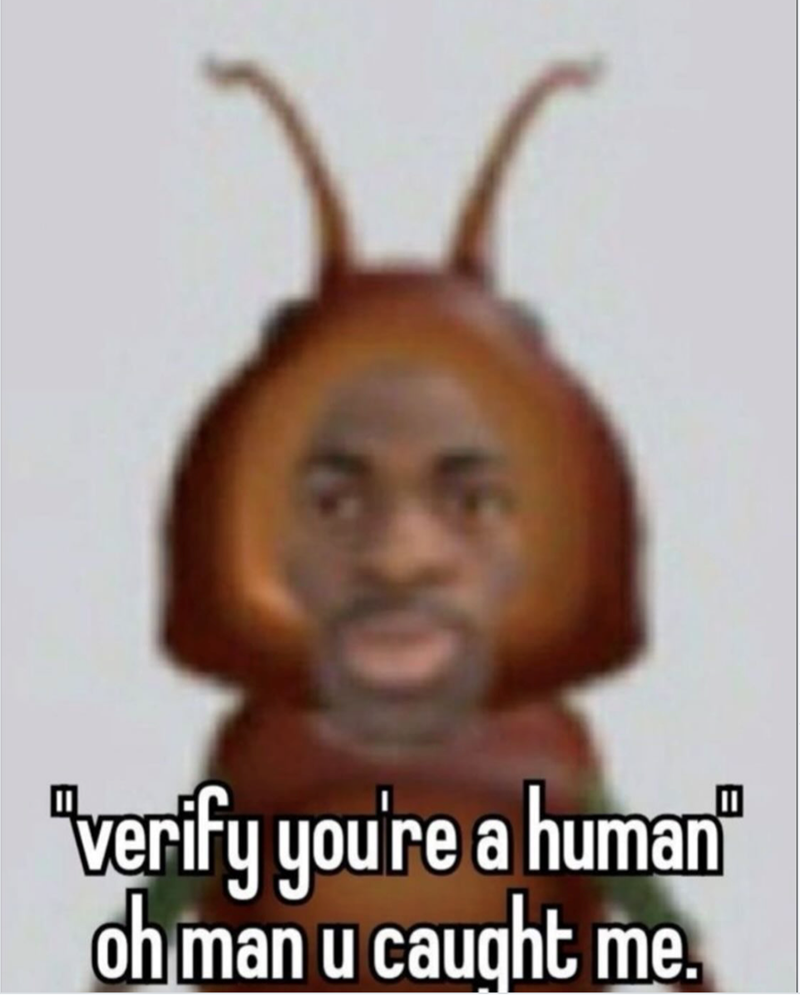 "verify you're a human" oh man u caught me.
