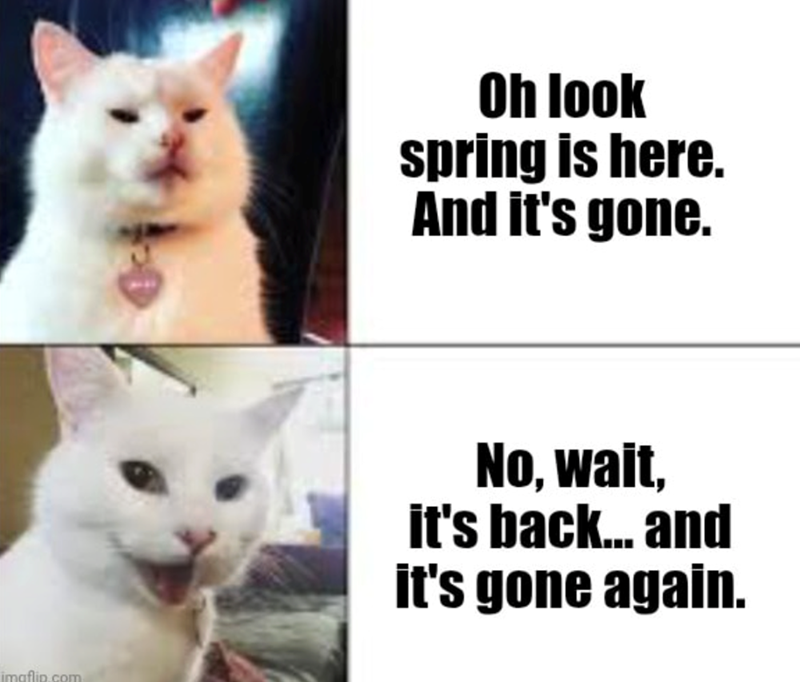 imaflin.com Oh look spring is here. And it's gone. No, wait, it's back... and it's gone again.