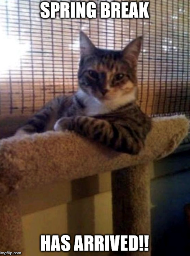 SPRING BREAK HAS ARRIVED!! imgflip.com