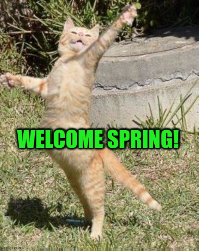 WELCOME SPRING! imgflip.com