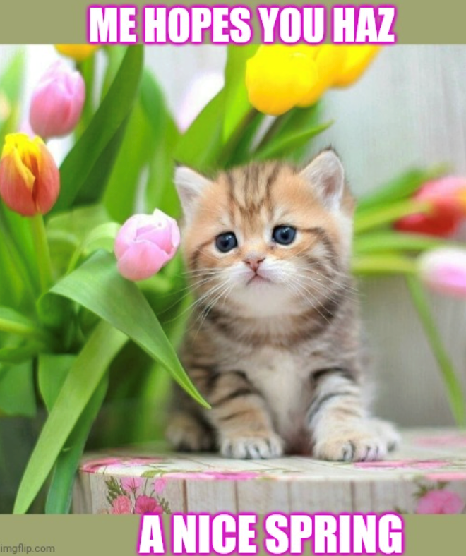 ME HOPES YOU HAZ imgflip.com A NICE SPRING