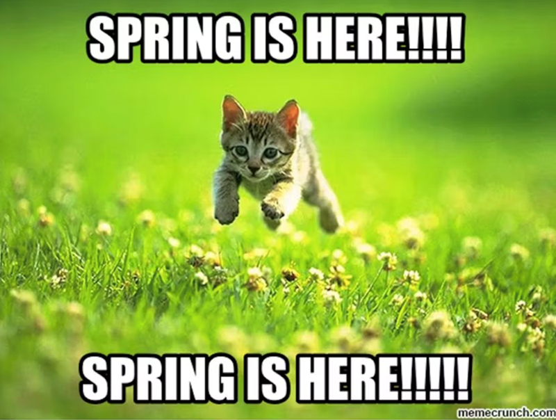 SPRING IS HERE!!!! SPRING IS HERE!!!!! memecrunch.com