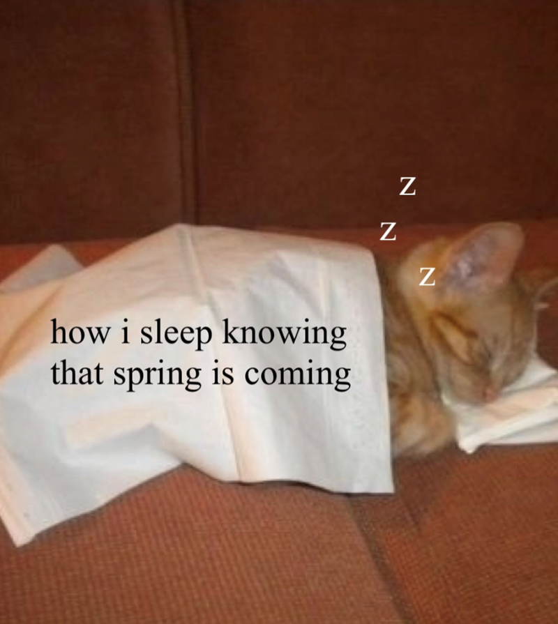 how i sleep knowing that spring is coming Z N N