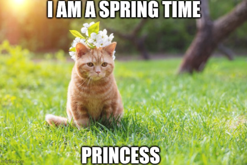 imgflip.com I AM A SPRING TIME PRINCESS