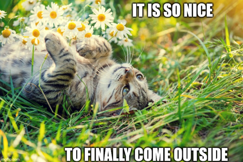 IT IS SO NICE imgflip.com TO FINALLY COME OUTSIDE