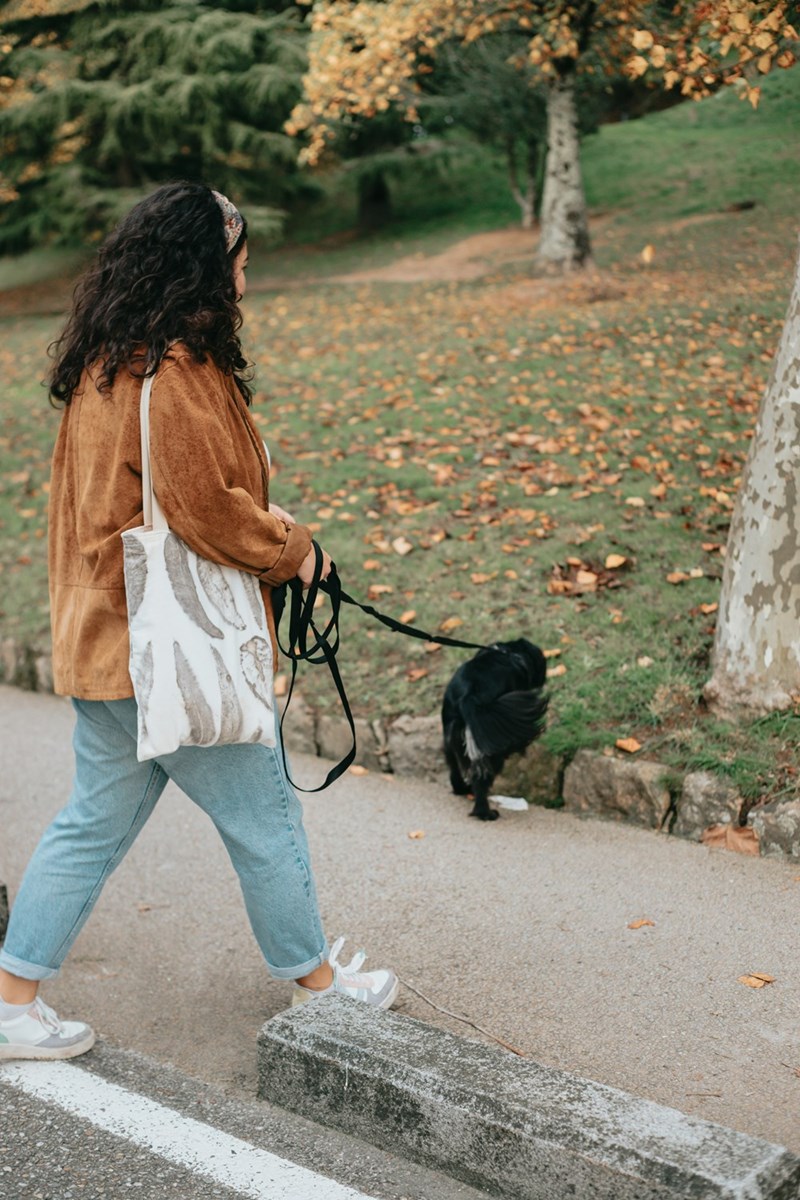 Woman walking her dog on a leash at a park on a nice weather day