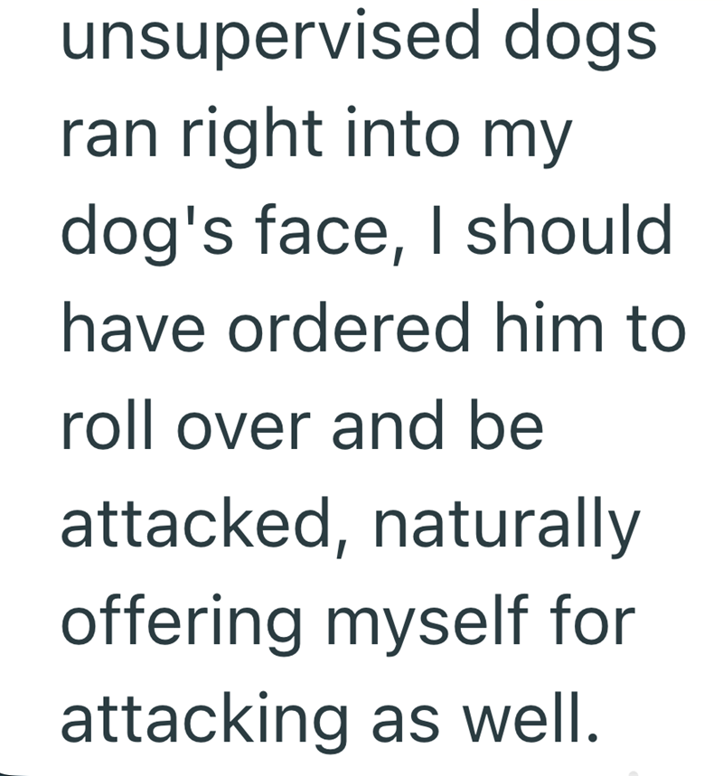 unsupervised dogs ran right into my dog's face, I should have ordered him to roll over and be attacked, naturally offering myself for attacking as well.