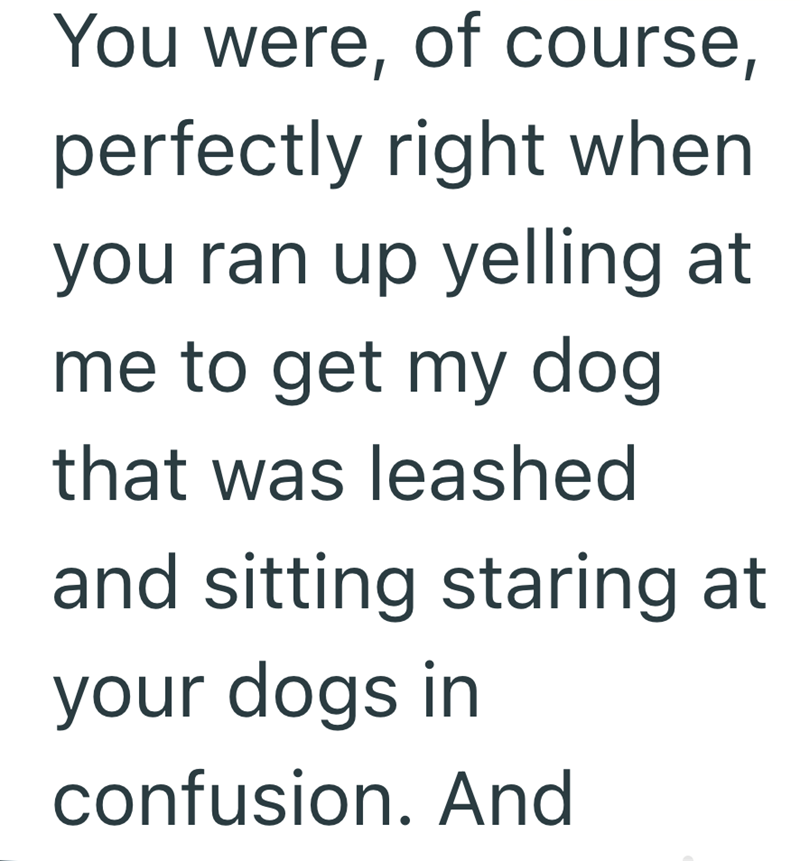 You were, of course, perfectly right when you ran up yelling at me to get my dog that was leashed and sitting staring at your dogs in confusion. And