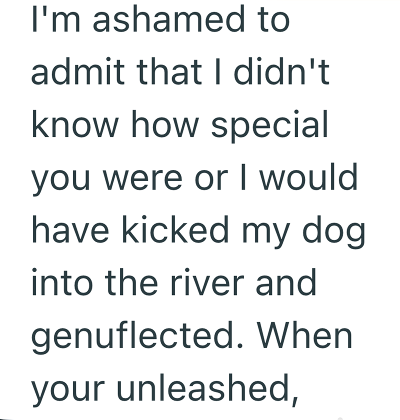 I'm ashamed to admit that I didn't know how special you were or I would have kicked my dog into the river and genuflected. When your unleashed,