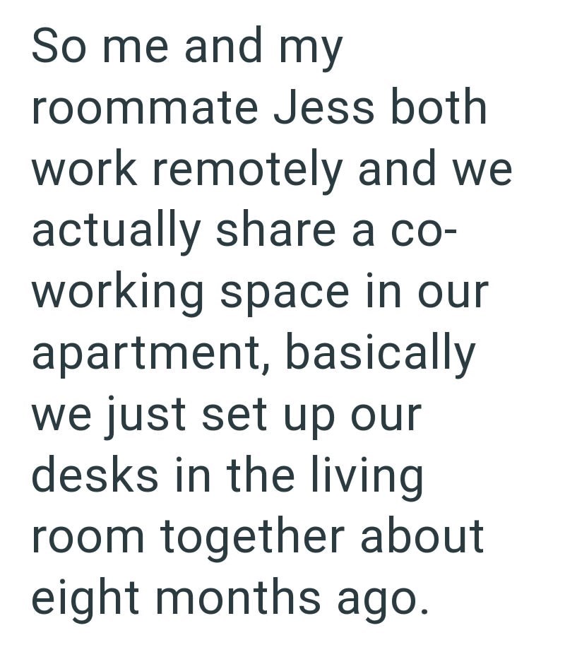 So me and my roommate Jess both work remotely and we actually share a co- working space in our apartment, basically we just set up our desks in the living room together about eight months ago.