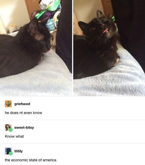 griefseed he does nt even know sweet-bitsy Know what tittily the economic state of america