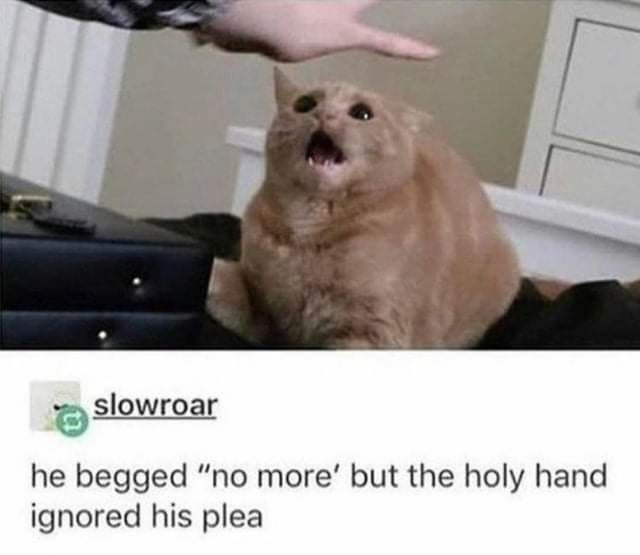 slowroar he begged "no more' but the holy hand ignored his plea