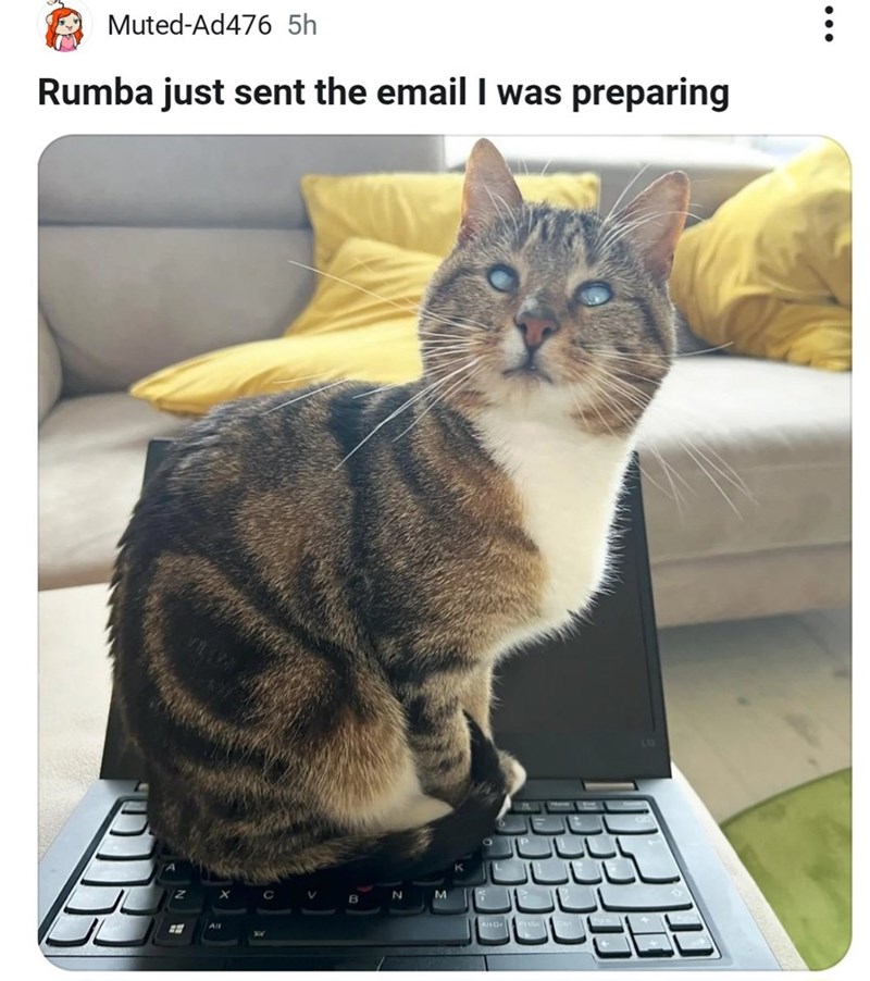 Muted-Ad476 5h Rumba just sent the email I was preparing Z X C V M All AllGr