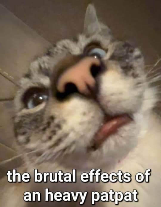 the brutal effects of an heavy patpat
