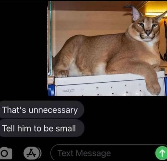 That's unnecessary Tell him to be small 0 A Text Message ↑
