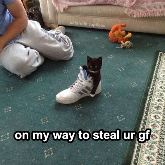 cats with captions on my way to steal ur gf