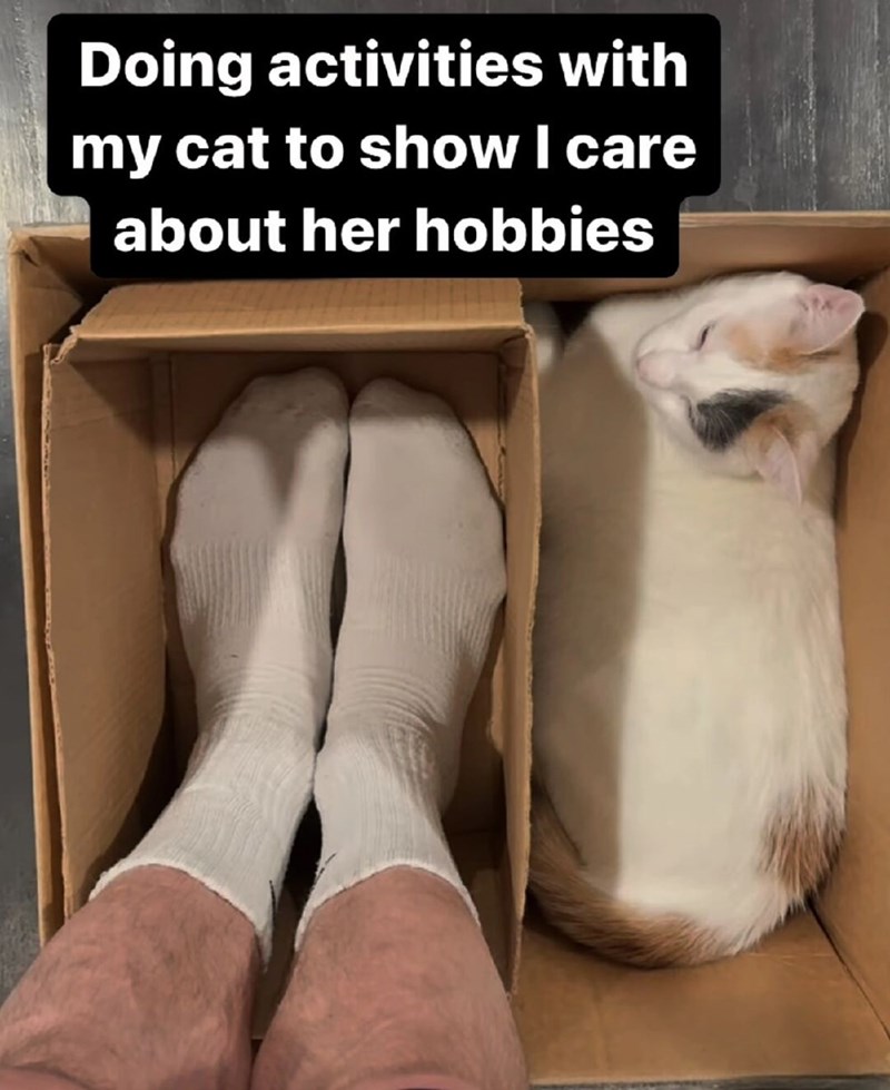Doing activities with my cat to show I care about her hobbies