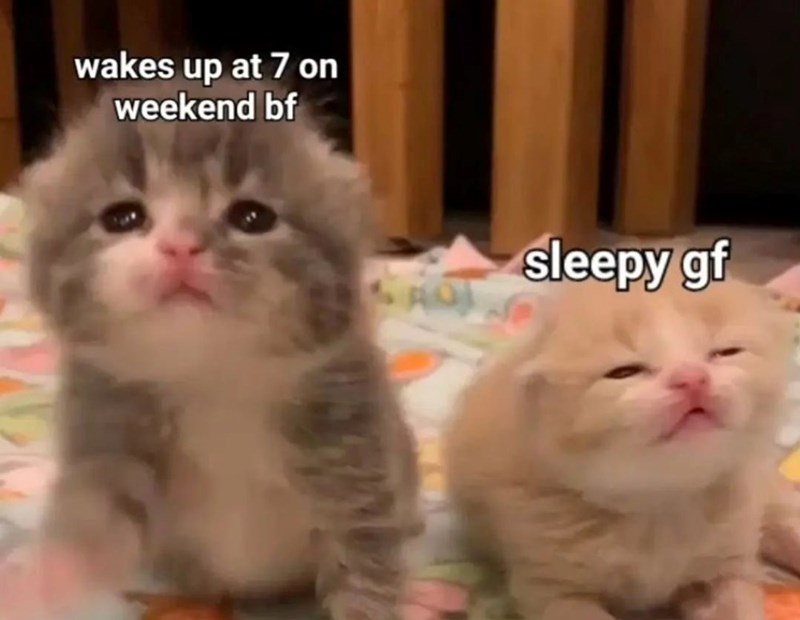 wakes up at 7 on weekend bf sleepy gf