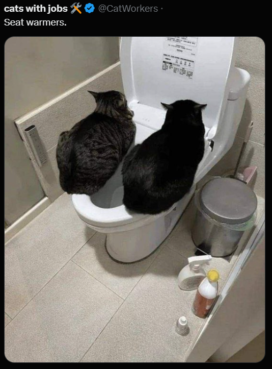 cats with jobs Seat warmers. @CatWorkers.