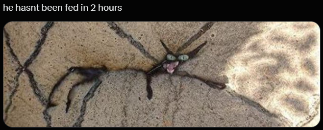 he hasnt been fed in 2 hours