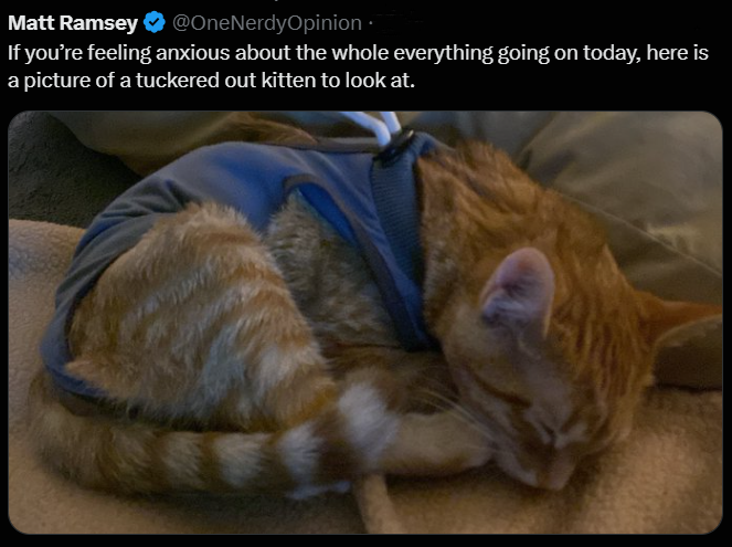 Matt Ramsey ❤ @OneNerdyOpinion ⚫ If you're feeling anxious about the whole everything going on today, here is a picture of a tuckered out kitten to look at.