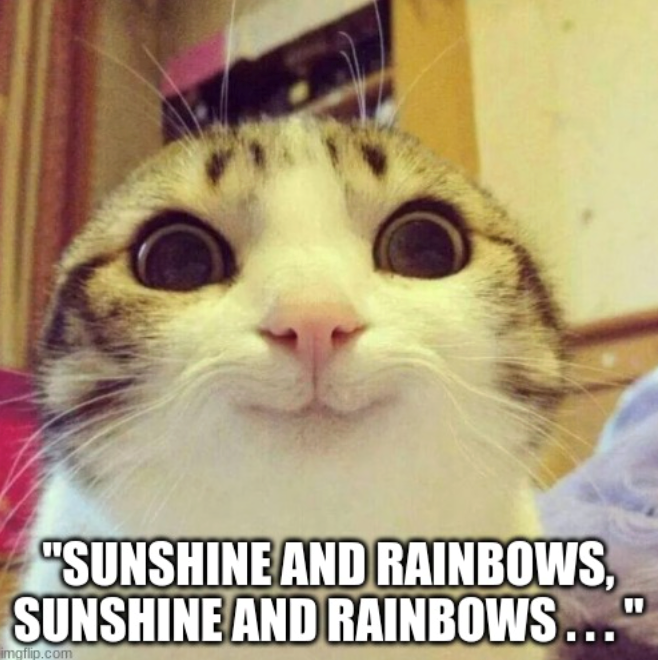 "SUNSHINE AND RAINBOWS, SUNSHINE AND RAINBOWS..." imgflip.com "