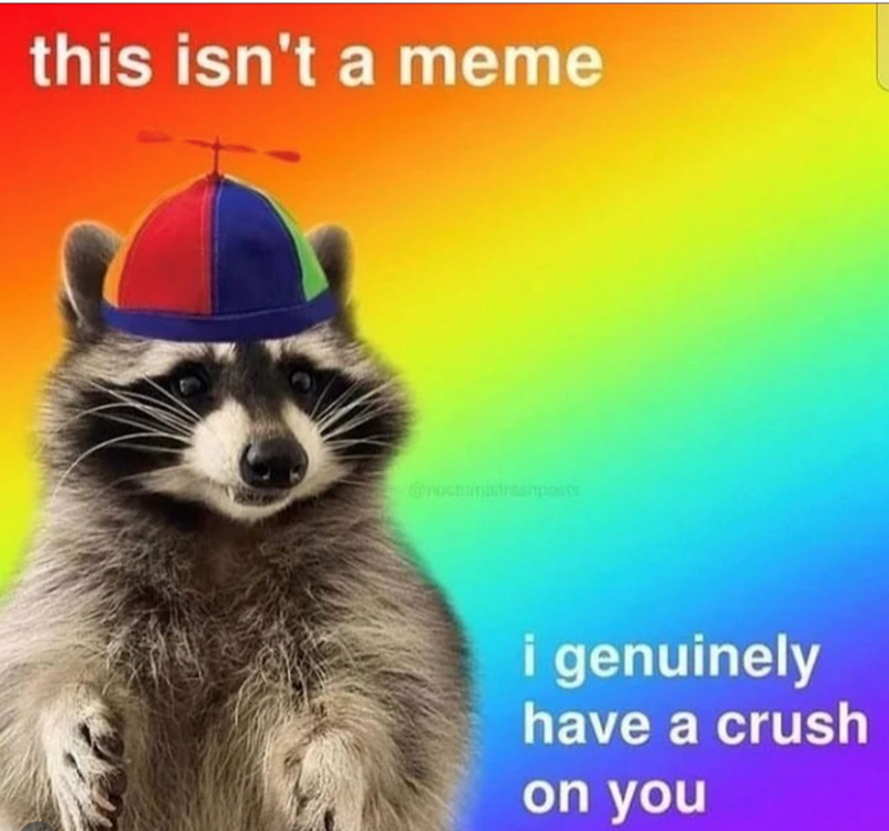 this isn't a meme @moctumaltrashposts i genuinely have a crush on you