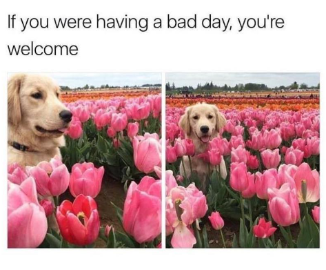 If you were having a bad day, you're welcome